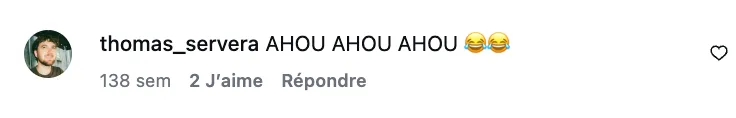 Commentaire d’internaute — campagne Armor Délices