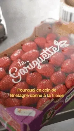Savéol — extrait de campagne 7