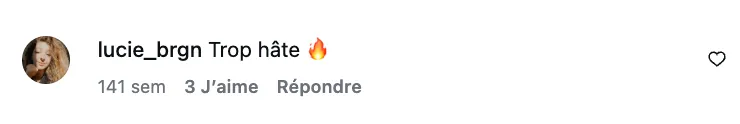 Commentaire d’internaute — campagne Armor Délices