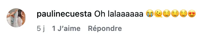 Commentaire d’internaute — campagne Connétable