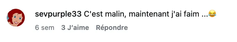 Commentaire d’internaute — campagne Armor Délices