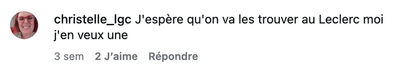 Commentaire d’internaute — campagne Briochin