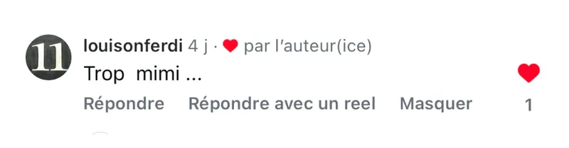 Commentaire d’internaute — campagne Magasin Vert